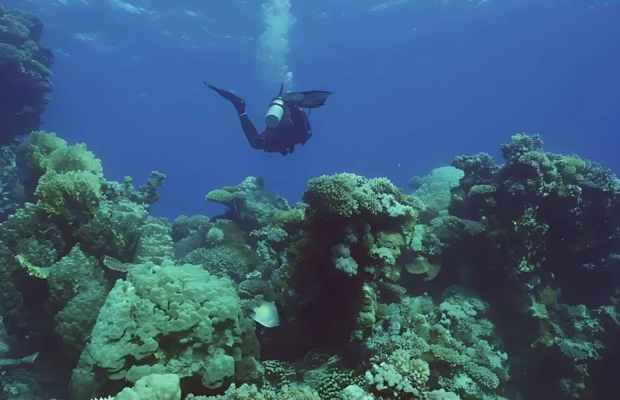 Scuba-Diver-Swims-In-The-Blue-Deep-On-Coral-Garden-At-Safaga