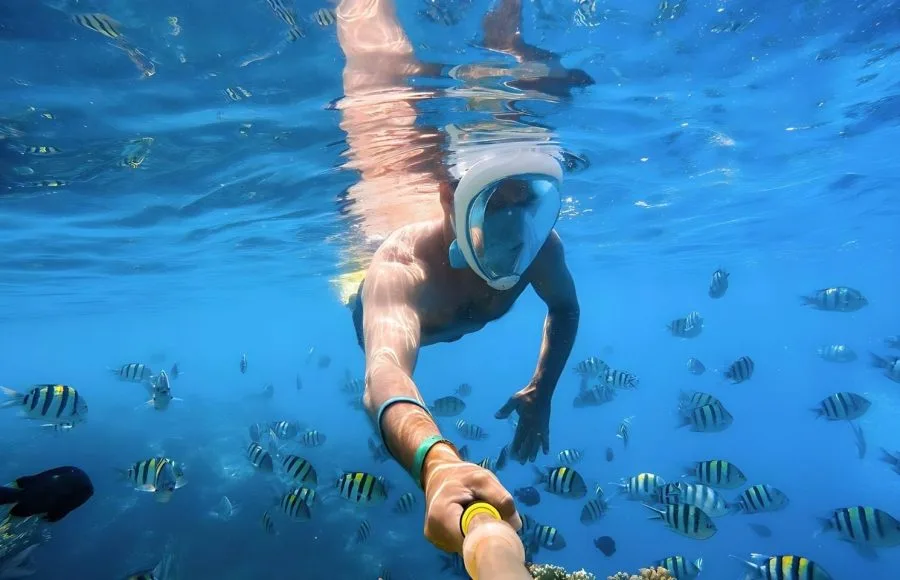 Snorkel-swim-in-coral-reef-in-safagqa