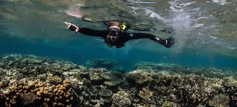 Makadi Bay Snorkeling Excursion Tour