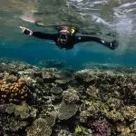 Snorkeler-Passes-Over-Colorful-Corals-In-Shallow-Water-In-The-Red-Sea-Makadi-Bay