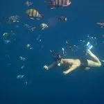 Snorkeling-In-Makadi-Bay-Between-Many-Colorful-Fish