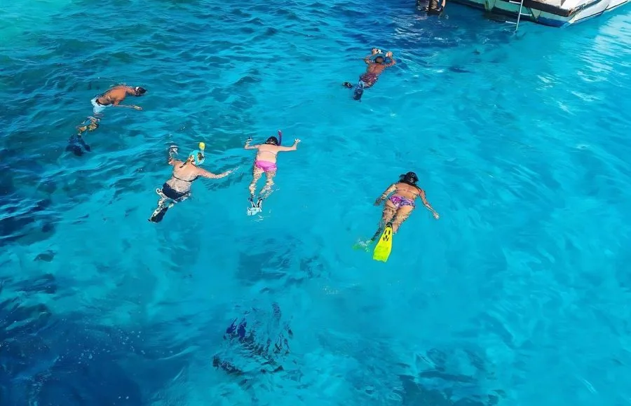 Snorkeling-In-Red-Sea-Makadi-Bay-Egypt