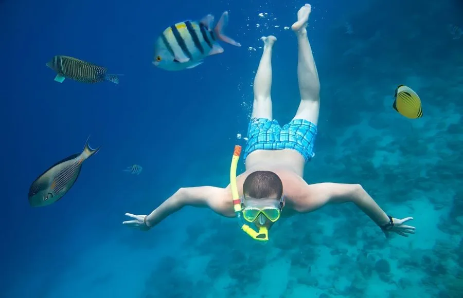 Snorkeling-In-The-Red-Sea-Makadi-Bay