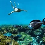 Snorkeling-Underwater-In-Coral-Reef-In-Makadi-Bay