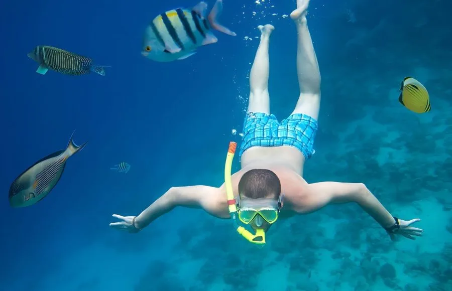 Snorkeling-in-the-Red-Sea-Safaga