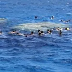 Snorkeling-the-coral-reef-safaga