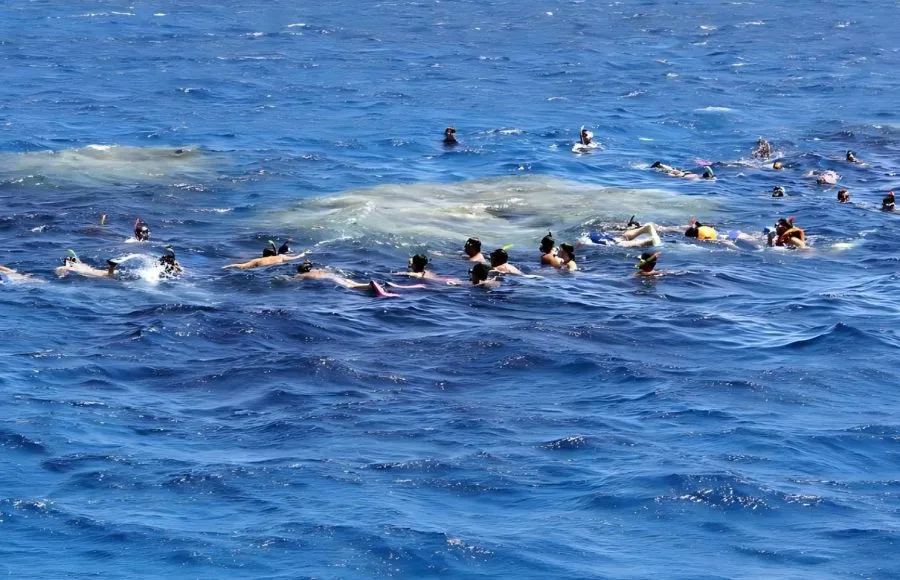 Snorkeling-the-coral-reef-safaga