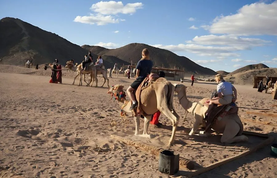 Tourist-Camel-Rides-In-Eastern-Desert-Egypt