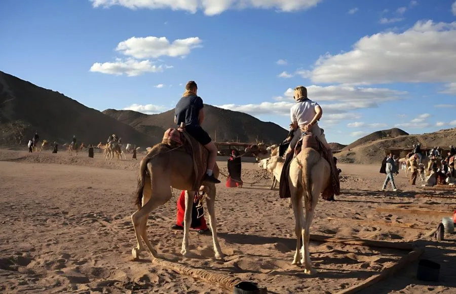 Tourist-Camel-Rides-In-Eastern-Desert-Safaga