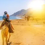 woman-on-camels-ride-Blue-Hole-Dahab