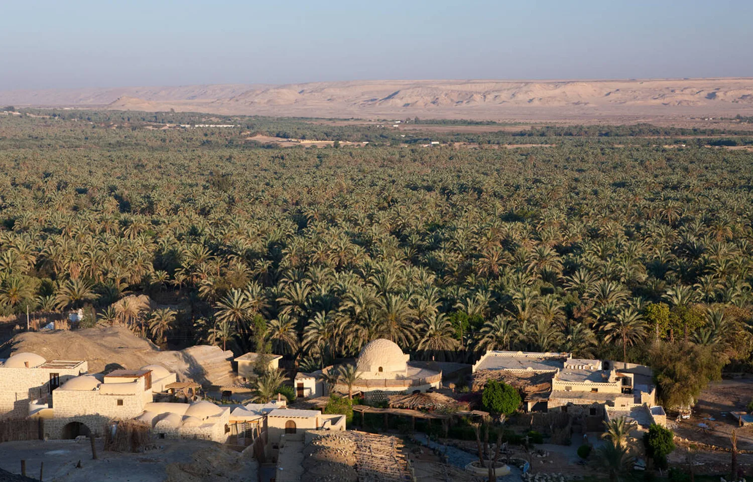 Panoramic Aerial View Of The Huge, Lush Palm Groves And Traditional Village Architecture At Bahariya Oasis, Egypt.