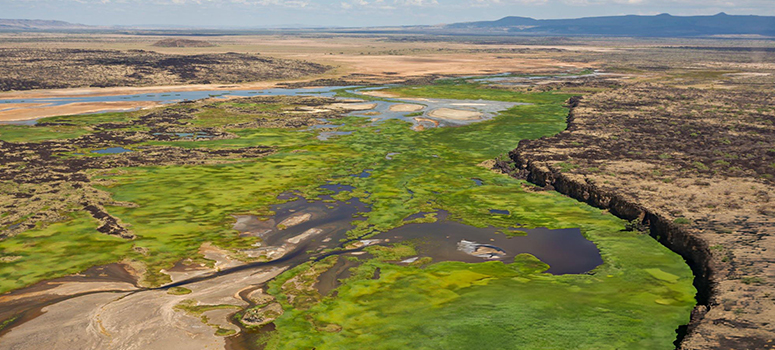 Day 11: Amboseli to Kenya’s Great Rift Valley