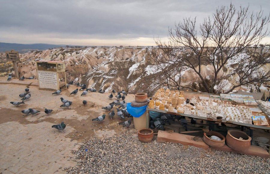 Beautiful-landscape-of-pigeons-are-flying-in-Cappadocia-pigeon-valley-Uchisar-Turkey