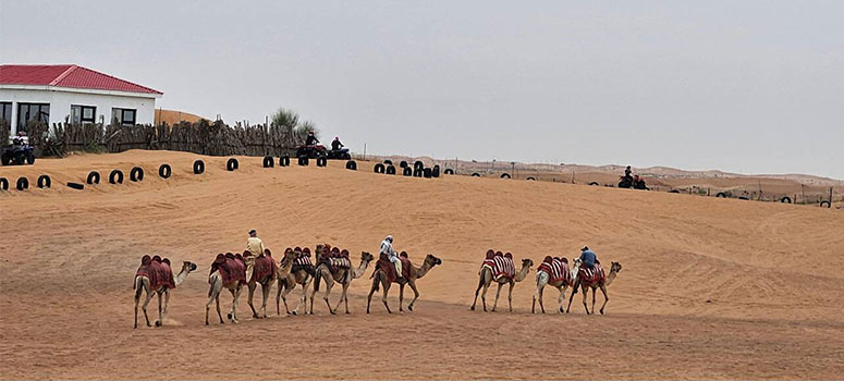 Day 3: Dubai Desert Safari Adventure