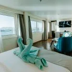Bright, modern Nile Cruise cabin featuring a double bed with towel swans made from light blue towels, large windows offering a river view, and a small sitting area with a couch and teal accent chair.