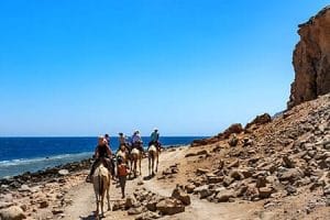 Egypt Holiday Packages from Ireland Enjoy Coastal Camel Rides Enjoy a unique camel ride along the picturesque coast with Egypt holiday packages from Ireland