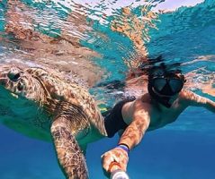 Underwater selfie with a sea turtle from Egypt Vacation from Pakistan. An underwater selfie of a tourist swimming with a sea turtle, representing an Egypt adventure from Pakistan.