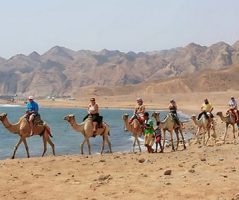 Tourists riding Camels on the beach on their Egypt Vacation Packages From Toronto Tourists riding camels along a beach with mountains in the background, a highlight of Egypt holiday packages from Toronto.