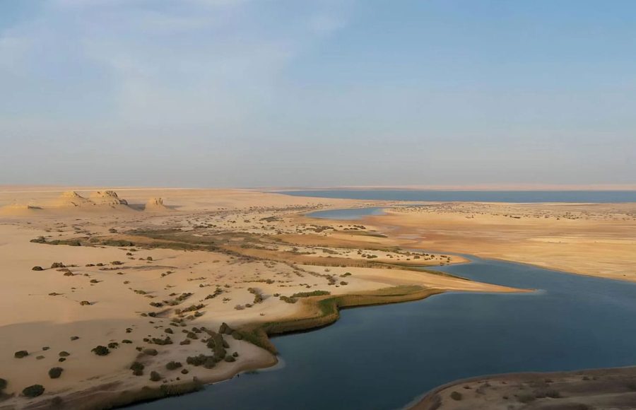A traveler exploring the natural wonders of Egypt during a Full-day Cairo stopover excursion to the scenic Fayoum Oasis