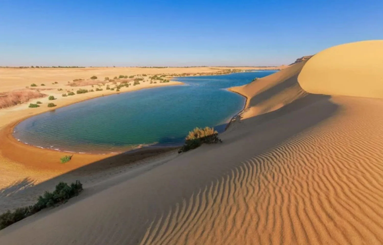 Close-up of patterned sand dunes sloping down to an oasis lake, perfect for a Fayoum day trip from Cairo