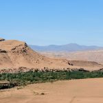 Green-plants-in-morocco-dades-valley