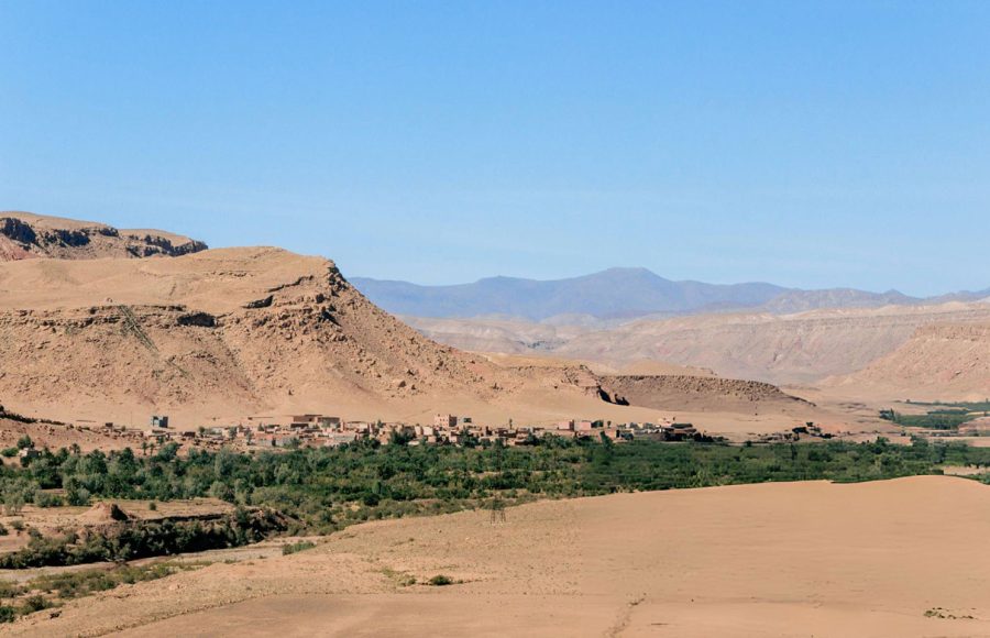 Green-plants-in-morocco-dades-valley