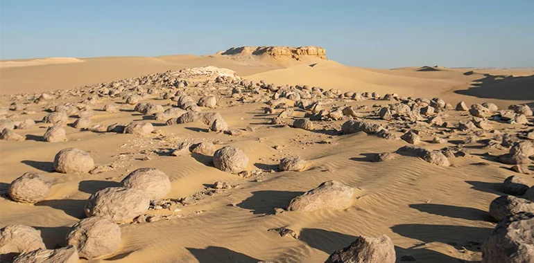 Unique Round &Quot;Watermelon&Quot; Geological Formations Covering The Sand In Wadi El Battikh (Watermelon Valley) Of Egypt's Western Desert.