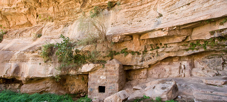 Day 16: Wadi Rum Desert Safari