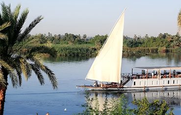 Traditional Dahabiya sailing boat on the Nile River with palm trees.