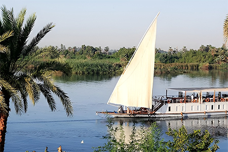Traditional Dahabiya sailing boat on the Nile River with palm trees.