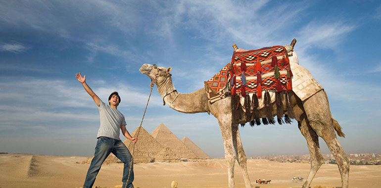 Man And A Camel With The Great Giza Pyramids