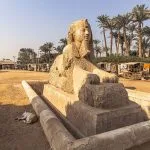 A magnificent limestone sphinx in the open-air museum during a Memphis day trip from Cairo