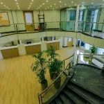 A wide-angle, two-story view of a cruise ship lobby, showing a dark, wide staircase leading to a light wood floor level with a reception desk, potted plants, and modern glass railings.