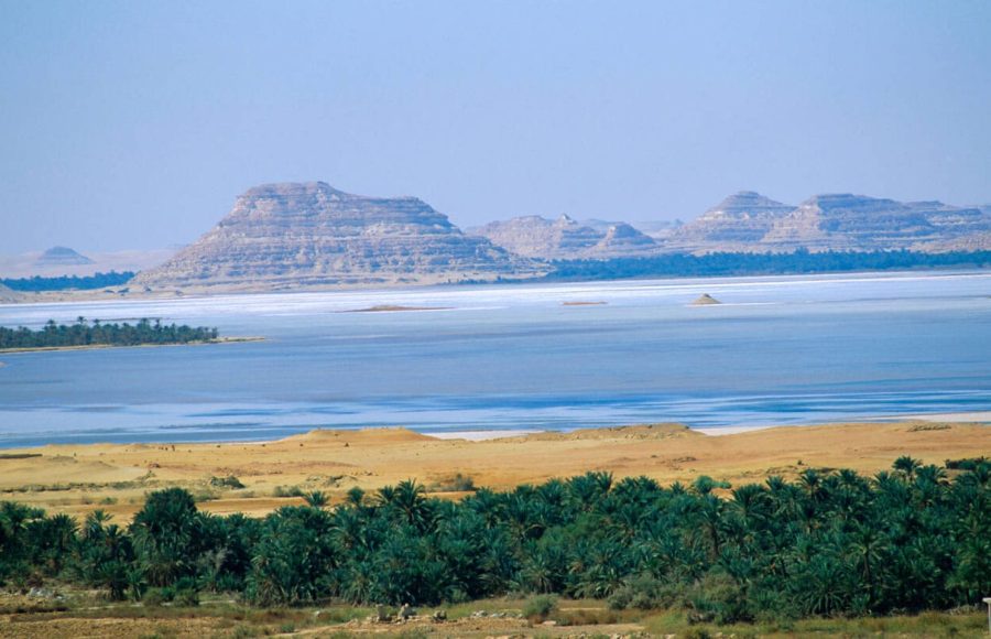 An aerial Overview of Siwa Oasis in Egypt Western Desert, showing the contrast between the green palm groves, the vast salt lake, and the distant, rocky mountains.