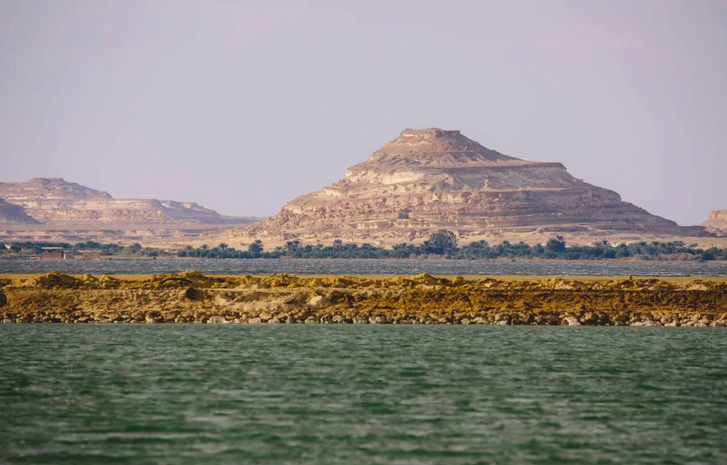 Panoramic view of the vast Salt Lake Aftanas near Siwa Oasis, with its greenish-blue water, a small band of trees on the opposite shore, and distinctive tiered, rocky mountains in the far background under a pale sky.