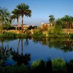 Palm trees and vegetation reflecting perfectly on the calm water at Reflections On The Water At The El Kharga Oasis Egypt, showcasing the lush environment of the Western Desert.