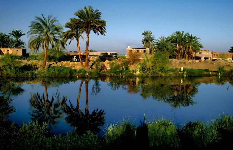 Palm trees and vegetation reflecting perfectly on the calm water at Reflections On The Water At The El Kharga Oasis Egypt, showcasing the lush environment of the Western Desert.
