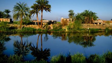Palm trees reflecting in water at El-Kharga Oasis, a historically significant desert oasis in Egypt.