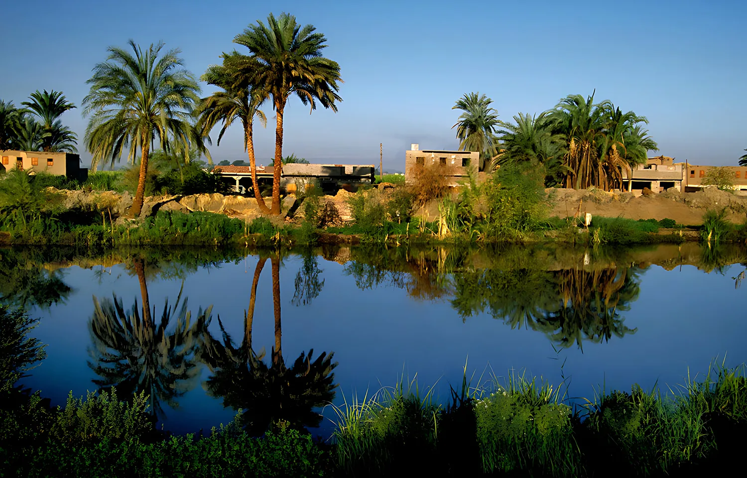 Palm Trees Reflecting In Water At El-Kharga Oasis, A Historically Significant Desert Oasis In Egypt.