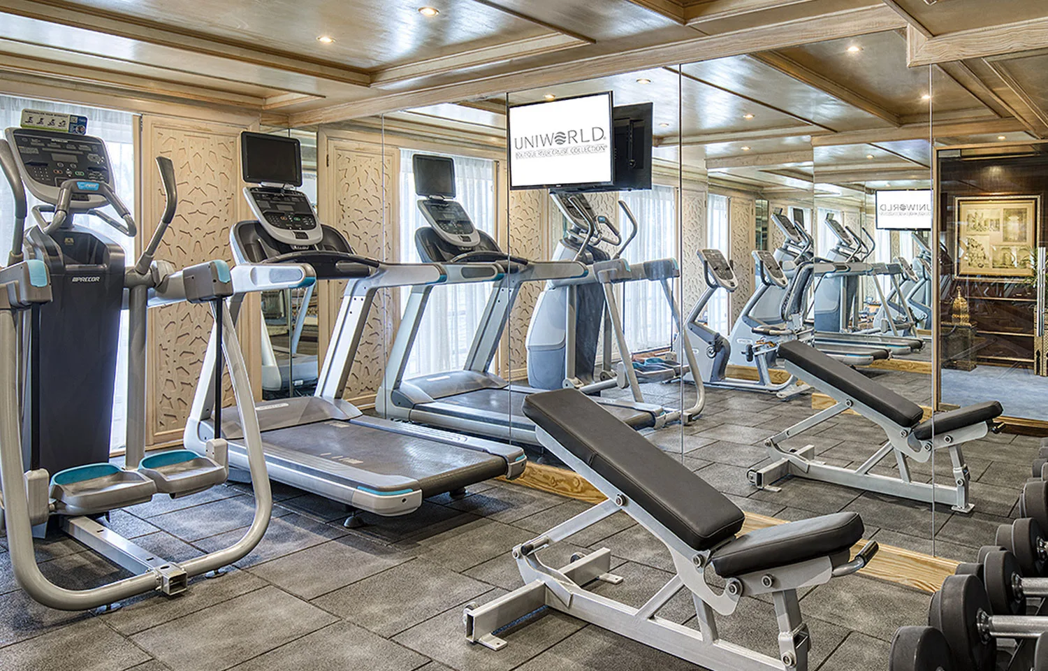 State of the art gymnasium with treadmills and weights available for guests on the Sphinx Nile Cruise