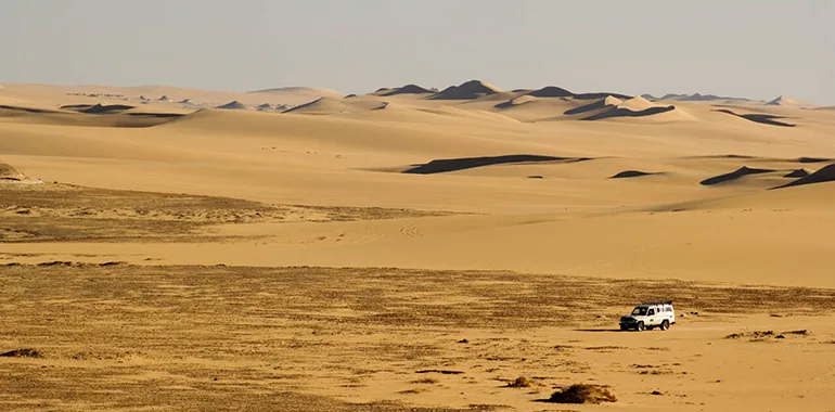 Safari Adventure In The Great Sand Sea Western Desert.jpg