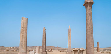 Tanis Attractions