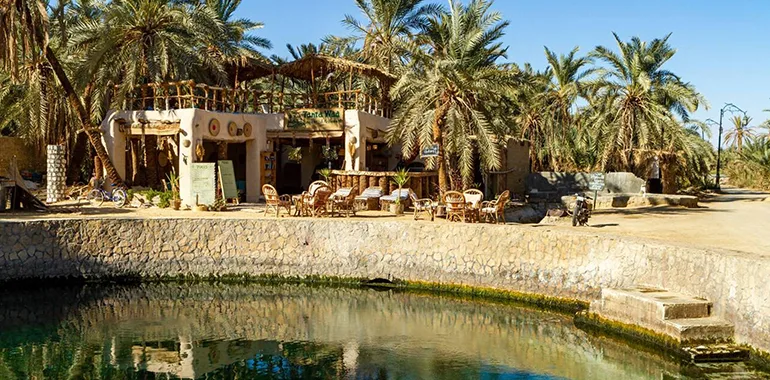 The Siwa Oasis In The Sahara In Egypt.jpg