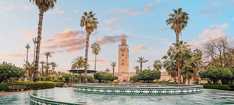 Day 8: Marrakech Medina, Palaces & Jemaa el-Fna