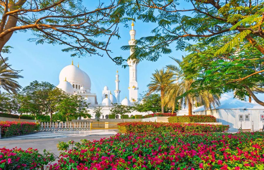 View-of-the-Sheikh-Zayed-Grand-Mosque-the-largest-mosque-in-the-UAE-from-a-garden-area-in-Abu-Dhabi