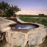A concrete circular basin with churning water from Water Springs At Kharga Oasis, surrounded by green fields and palm trees against a tan desert background.