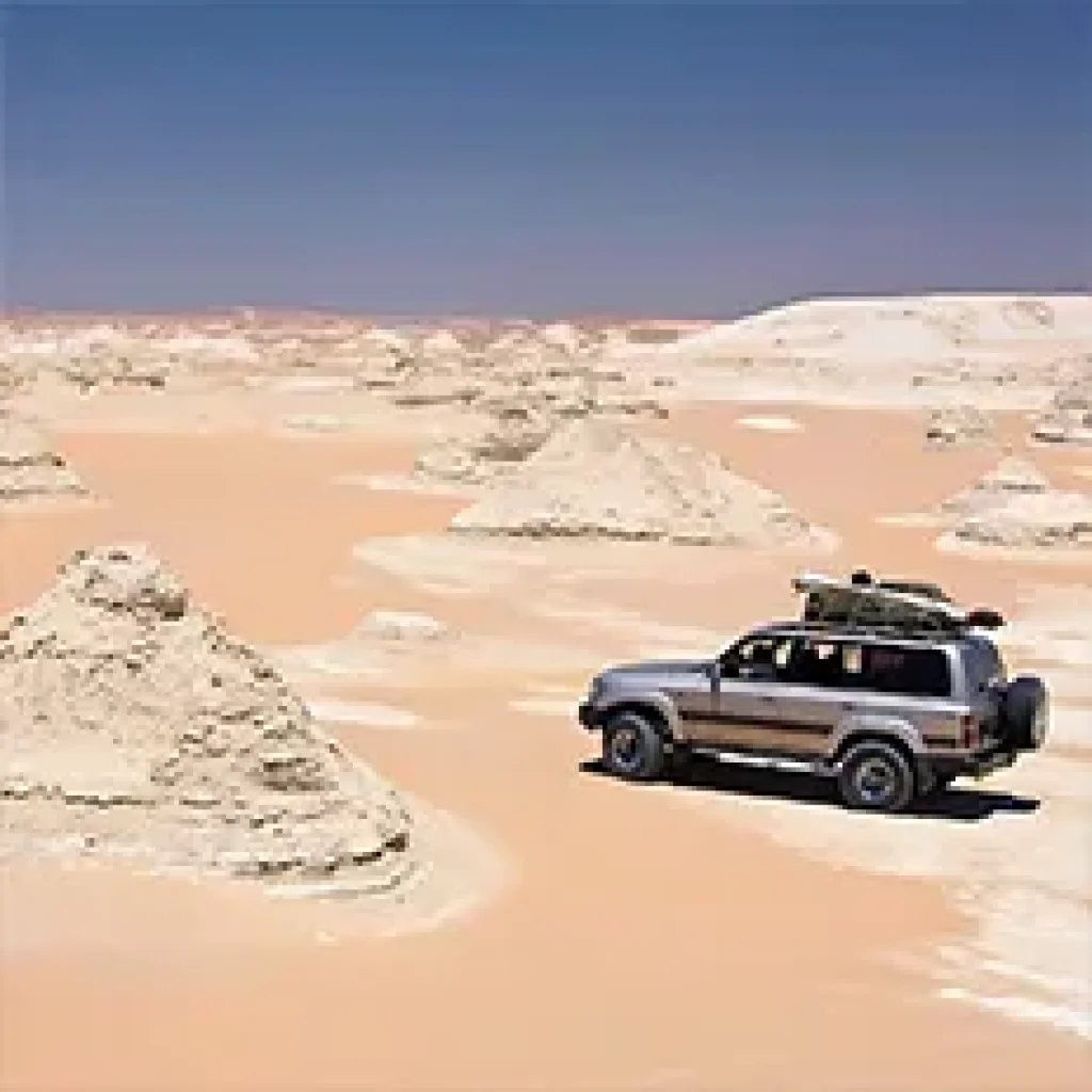 Bahariya Oasis In Egypt