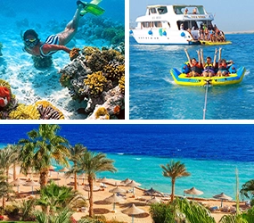 Red Sea Tours